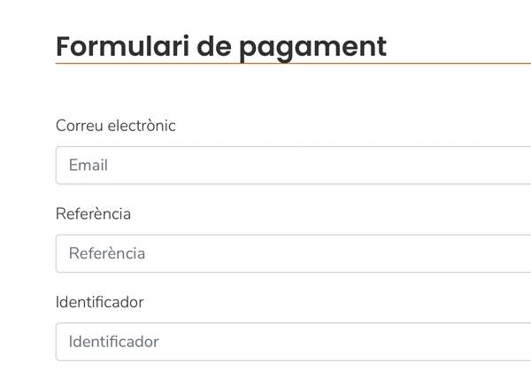 Activat el pagament online a través d'aquesta mateixa web