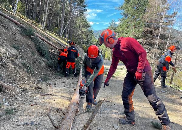 Cinc operaris del Comú de la Massana superen la formació europea de motoserra 