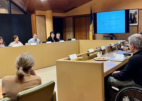 El Consell Consultiu del POUP tracta els reptes a assolir en matèria de patrimoni i medi ambient