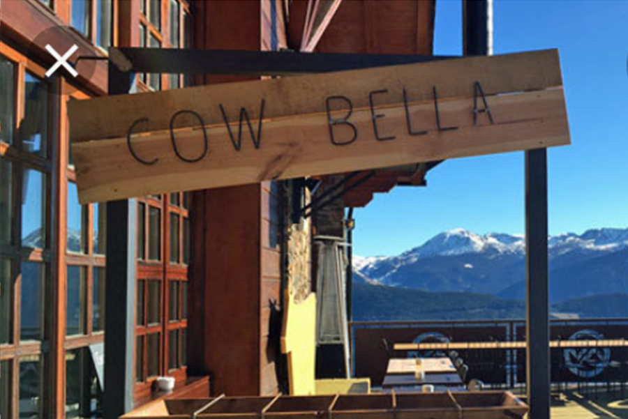Cow Bella - Vallnord Pal Arinsal