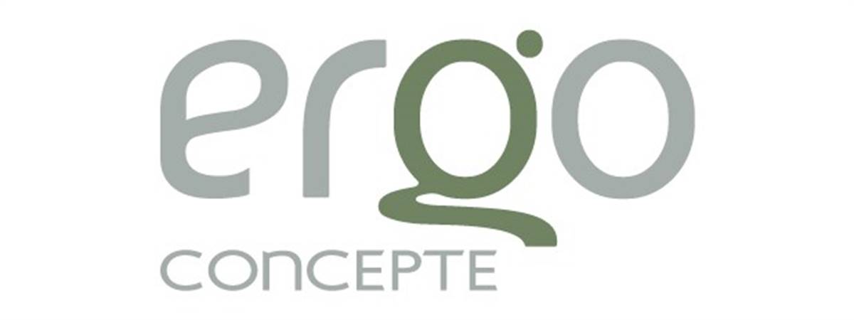 Ergo Concepte