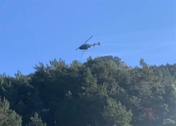 Inici dels treballs de control de la processionària amb helicòpter