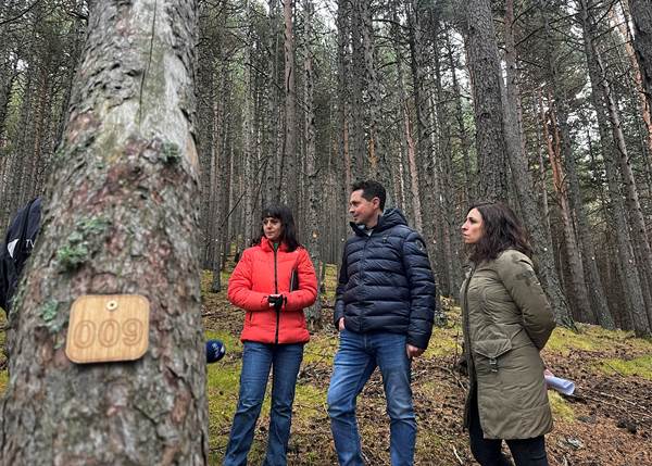 Neix el marteloscopi de Beixalís, el primer laboratori a cel obert d’investigació i divulgació forestal del país
