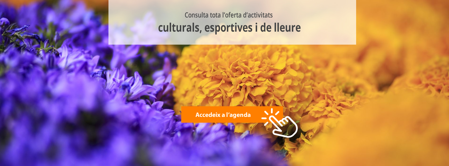 Activitats culturals, esportives i de lleure